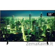 „Panasonic TV TX-55LXW704“ LED 55 '' 4K Ultra HD „Android“