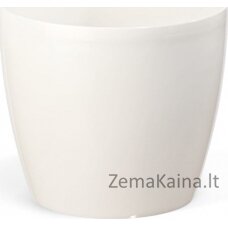 Puku pods Magnolija tualeto sėdynė 300x265mm balts