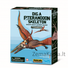 4M Kasinėjimųz rinkinys „Pteranodonas"