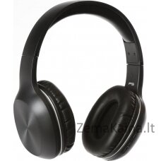 Laisvųjų stilių ausinės FH0918 (44457)