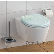 Schütte gėlė (438779) tualetas