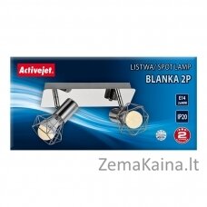 Activejet AJE-BLANKA 2P lubų šviestuvas Sidabras E14