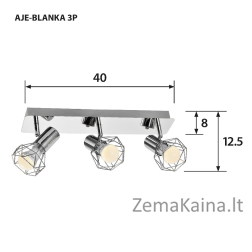 Activejet AJE-BLANKA 3P lubų šviestuvas Sidabras E14