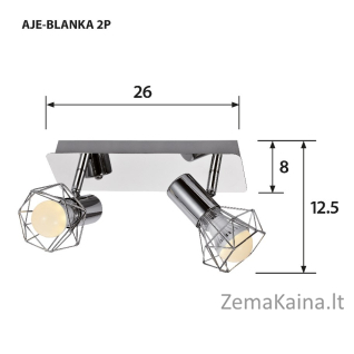 Activejet AJE-BLANKA 2P lubų šviestuvas Sidabras E14