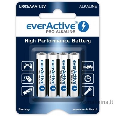 Alkaline batteries everActive Industrial Alkaline LR6 AA  - carton box 40 pieces
