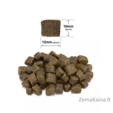 ARQUIVET Šviežia lašiša su kalakutiena - pusiau drėgnas ėdalas šunims - 2,5kg 1