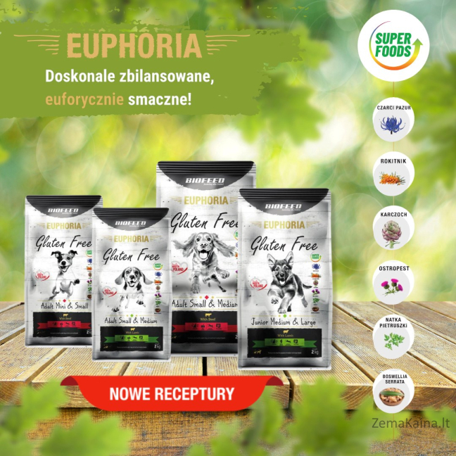 BIOFEED Euphoria Gluten Free Adult medium & large Beef - dry dog food - 2kg 2