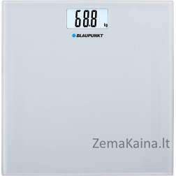 Blaupunkt BSP301