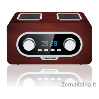 Blaupunkt PP5.2BR radijo imtuvas Nešiojama Ruda