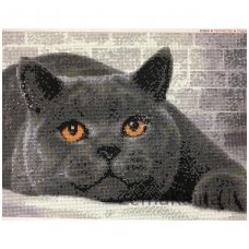 Deimantinė mozaika paveikslas - BRITISH CAT AZ-1463