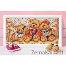 Deimantinė mozaika Teddy Bears AZ-1645 30x60cm