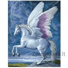 Deimantines mozaikos rinkinys - Pegasus WD176