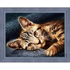 Deimantinis paveikslas Cat Barsik AZ-1700 40x30cm