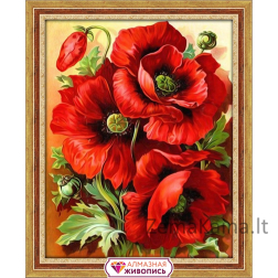 Deimantinė mozaika Aguonos AZ-1135 30х38cm
