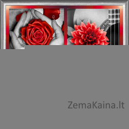 Deimantinė mozaika AZ-1776