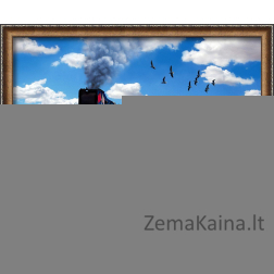 Deimantinė mozaika AZ-1797, 50х40