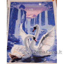 Deimantinė mozaika AZ-197, 50x67cm