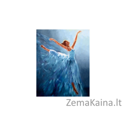 Deimantinė mozaika Balerina WD2343