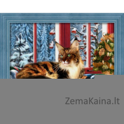 Deimantinė mozaika Maine Coon at the Window AZ-1695 40x30cm