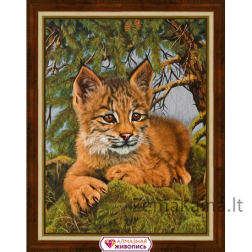 Deimantinė mozaika Small Lynx AZ-1525 30х40cm