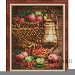 Deimantinė mozaika Still Life with Rowan AZ-1706 40x50cm