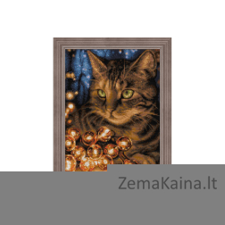 DEIMANTINES MOZAIKOS RINKINYS AZ-1694 30 x 40 cm