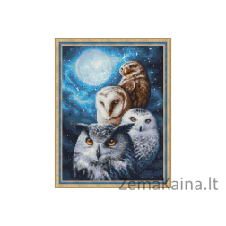 DEIMANTINES MOZAIKOS RINKINYS AM-1738 30 x 40 cm
