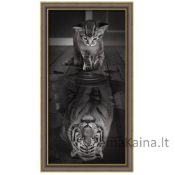 DEIMANTINES MOZAIKOS RINKINYS AM-1771 30 x 60 cm