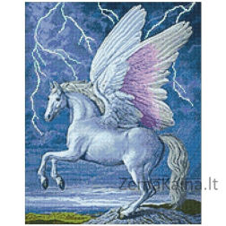 Deimantines mozaikos rinkinys - Pegasus WD176