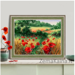 Deimantines mozaikos rinkinys - POPPIES IN THE FIELD AZ-1682
