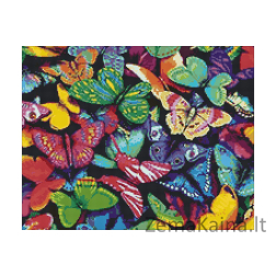 Deimantines mozaikos rinkinys - RAINBOW BUTTERFLIES WD057