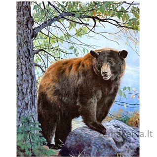 Deimantines mozaikos rinkinys - BROWN BEAR WD083