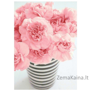 Deimantines mozaikos rinkinys - Modern WD005
