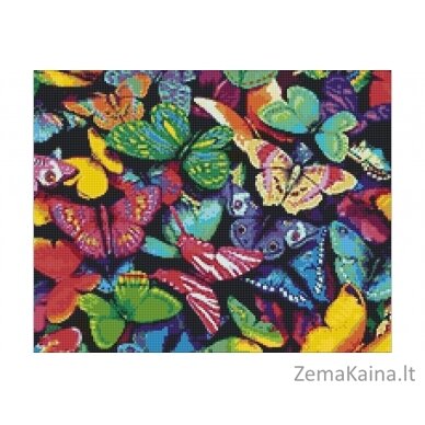 Deimantines mozaikos rinkinys - RAINBOW BUTTERFLIES WD057 1