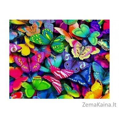 Deimantines mozaikos rinkinys - RAINBOW BUTTERFLIES WD057