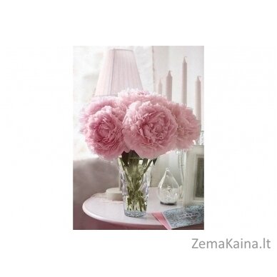 Deimantines mozaikos rinkinys - SOFT PEONIES WD002