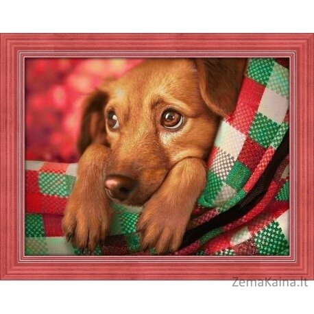 Deimantinė mozaika Dachshund Puppy AZ-1703 40x30cm