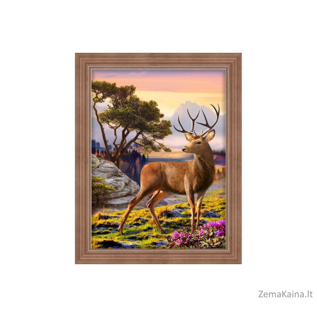 DEIMANTINES MOZAIKOS RINKINYS AZ-1692 30 x 40 cm