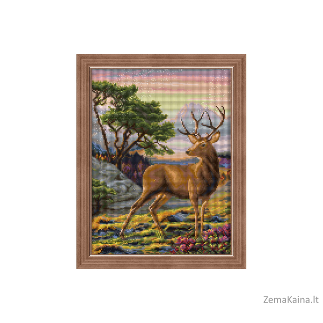 DEIMANTINES MOZAIKOS RINKINYS AZ-1692 30 x 40 cm 1