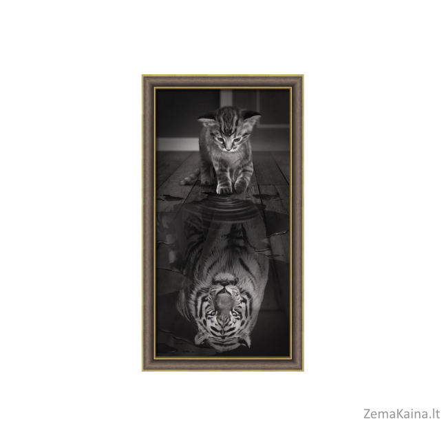 DEIMANTINES MOZAIKOS RINKINYS AM-1771 30 x 60 cm 1