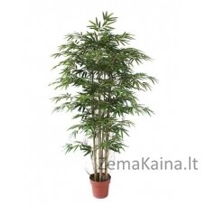 Dirbtinas augalas Bambukas 150 cm