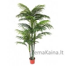 Dirbtinas augalas Palmė 210 CM