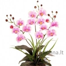 Dirbtinė gėlė Orchidėja