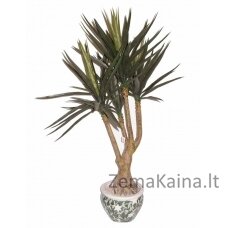 Dirbtinis augalas Dracena I