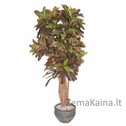 Dirbtinis augalas Krotonmedis