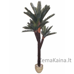 Dirbtinis augalas Palmė II