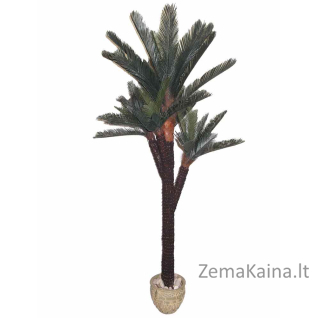 Dirbtinis augalas Palmė II