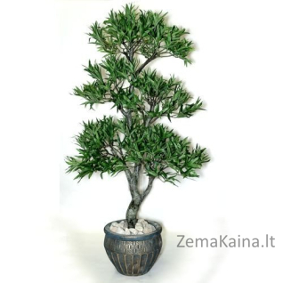 Dirbtinis augalas Podokarpas