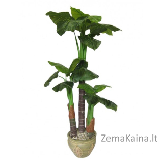 DIRBTINIS AUGALAS/MEDIS 170CM TARO