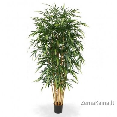 Dirbtinis augalas Bambukas 210cm
